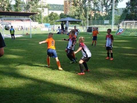 FRAGARIA CUP 2018 (2008, 2009, 2010)