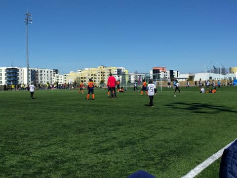 «TIGER CUP 2018» (2008, 2009)