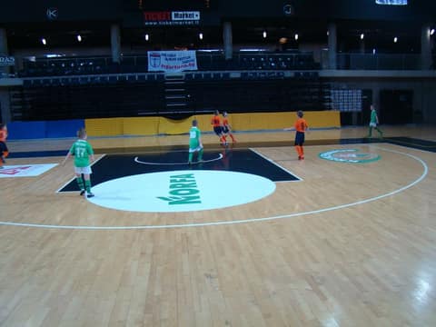 «KEDAINIAI ARENA CUP 2018» (U-8, 2010)