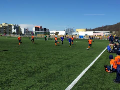 «TIGER CUP 2018» (2008, 2009)