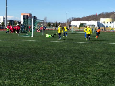 «TIGER CUP 2018» (2008, 2009)
