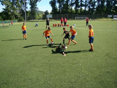 FRAGARIA CUP 2018 (2008, 2009, 2010)