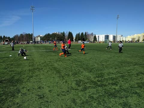 «TIGER CUP 2018» (2008, 2009)