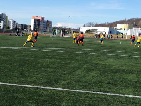 «TIGER CUP 2018» (2008, 2009)