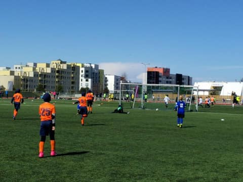 «TIGER CUP 2018» (2008, 2009)