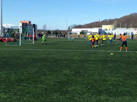«TIGER CUP 2018» (2008, 2009)